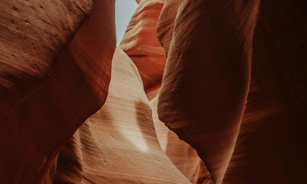 Color Story: Adobe