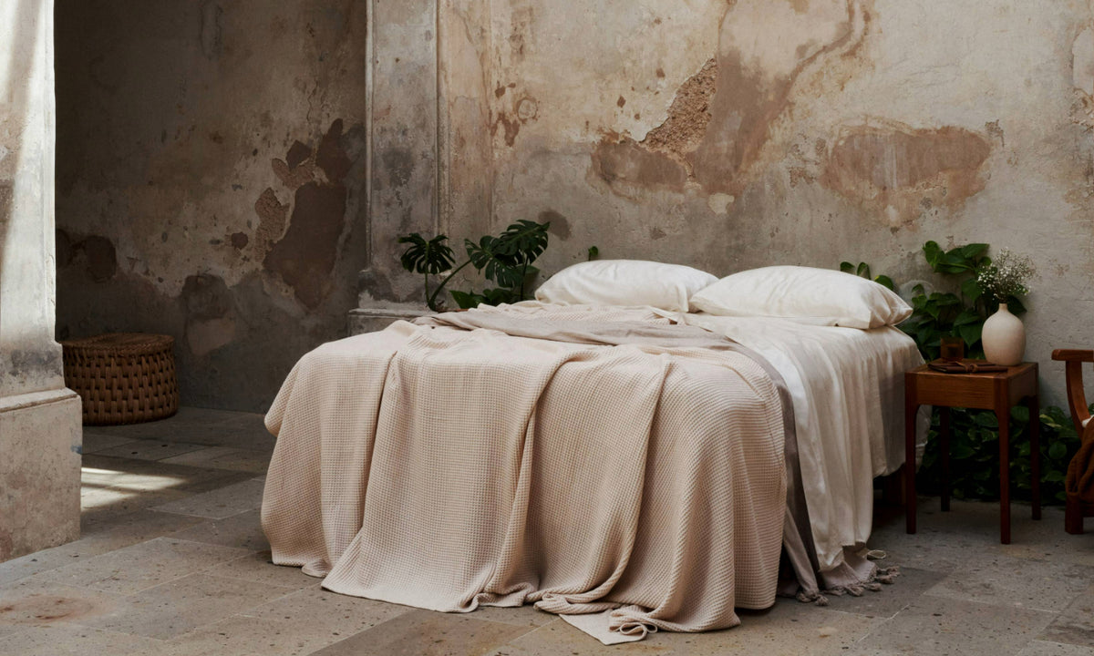 Color Story: Cream