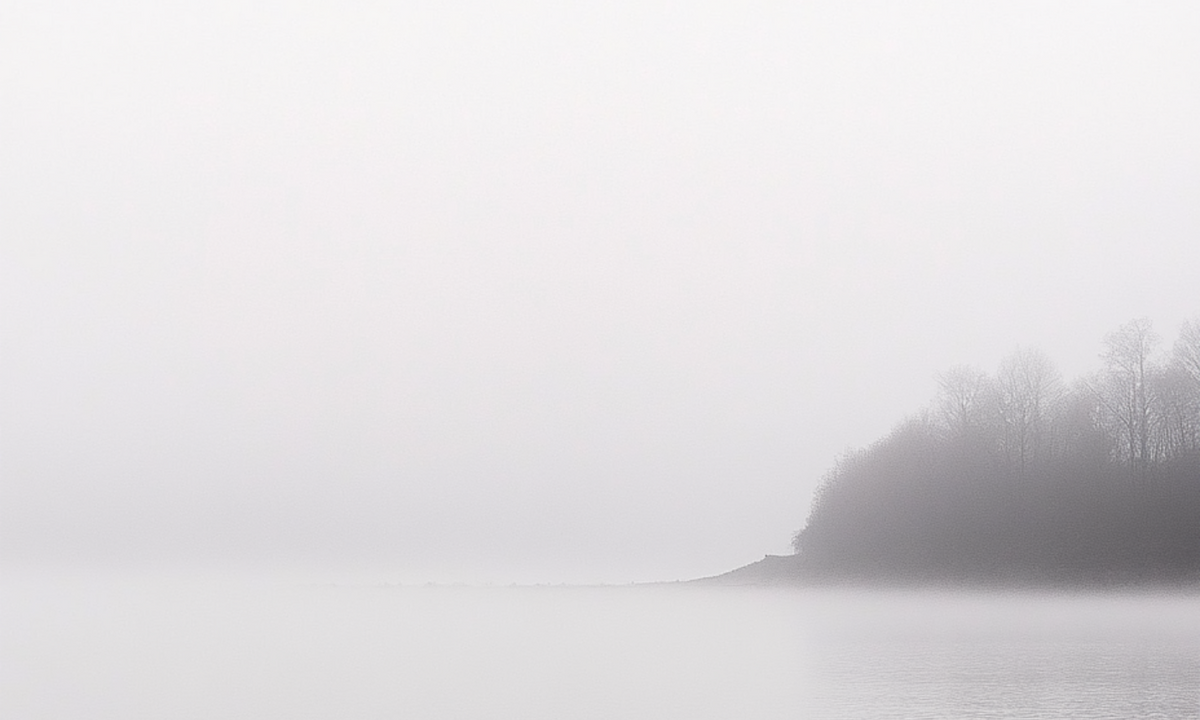 Color Story: Morning Fog
