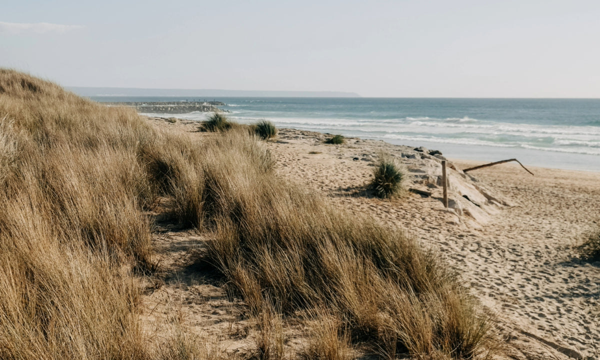 Color Story: Sand & Dune