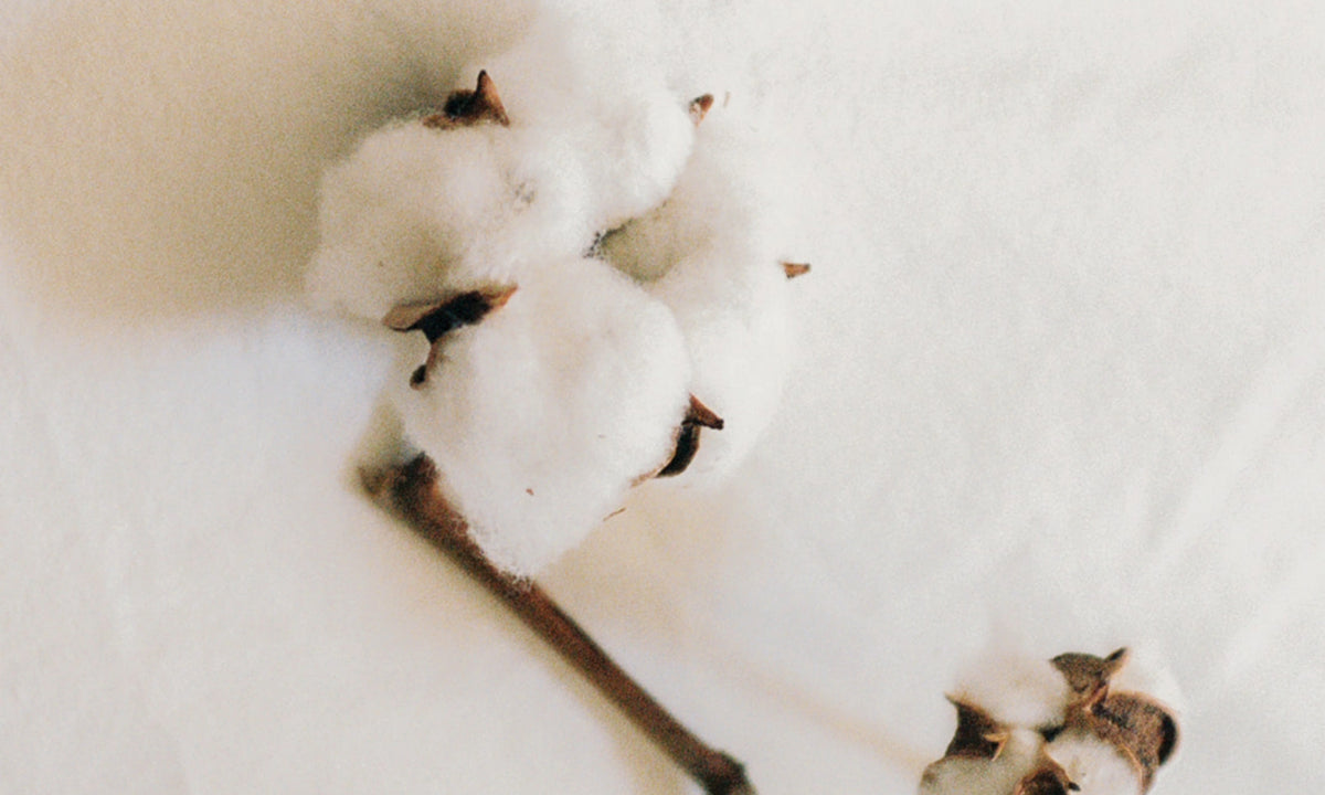Color Story: White